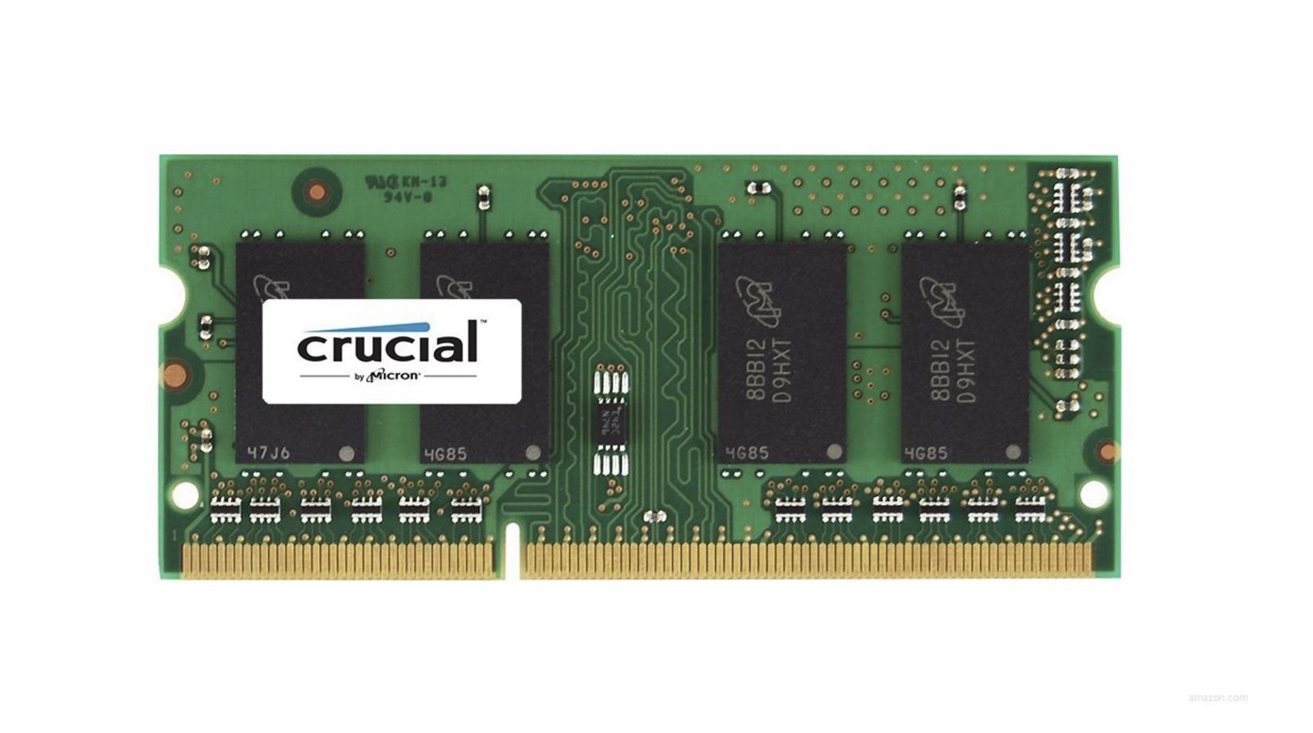 ram